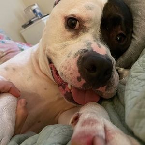 Meet your Posher, Kaytlynn